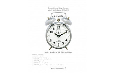 Journée Bridge Gascogne lundi 8 décembre Aire